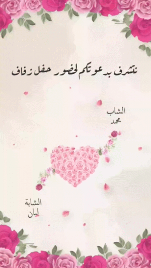 فيديو الزفاف 01